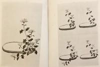 生花の藝術 山根翠堂四季代表作集 函入 山根翠堂 第一藝文社
