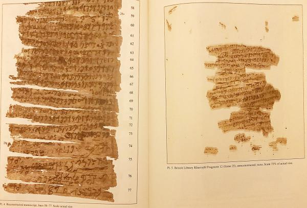 英語洋書】 3つのガンダーラ語「増一阿含経」：大英図書館所蔵カロー