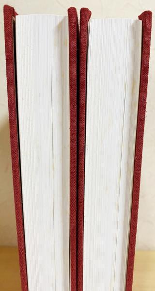 アジアの仏像 : 岩宮武二写真集 全2冊揃(肥塚隆・東山健吾・大西修也 アジアの仏像 : 岩宮武二写真集 全2冊揃(肥塚隆・東山健吾・大西修也