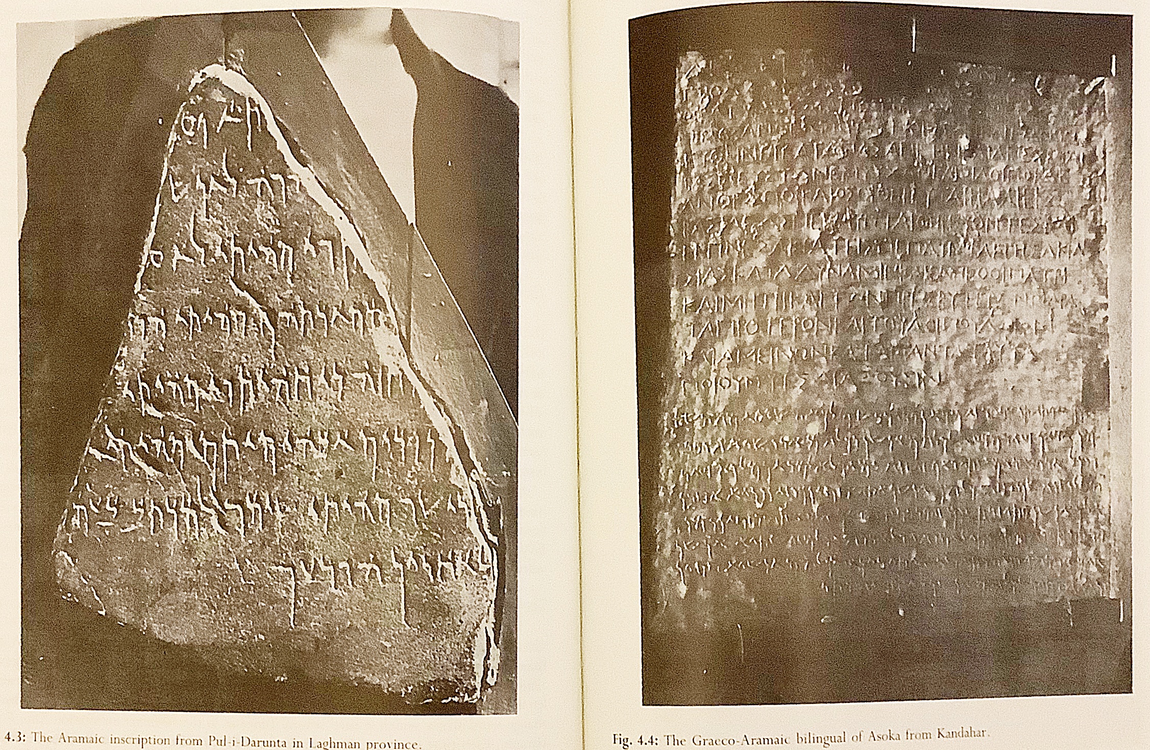 英語洋書】 初期からティムール朝までのアフガニスタンの考古学