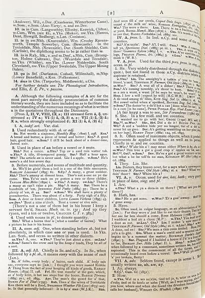 洋書 A Dictionary of European Anglicisms Amazon.co.jp: English Dialect Words of the Eighteenth