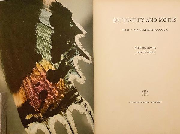 英語 生物洋書】 蝶と蛾：36枚のカラープレート 『Butterflies