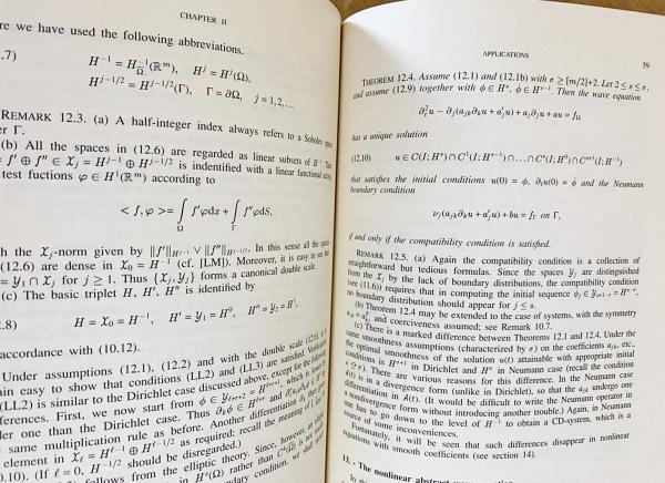英語数学洋書 抽象微分方程式と非線形混合問題 【Abstract
