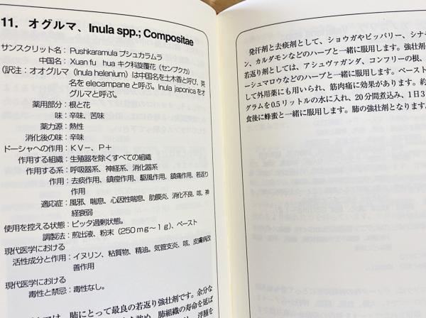 日本改造法案大綱 北一輝 大正15年刊行余談 - 人文/社会