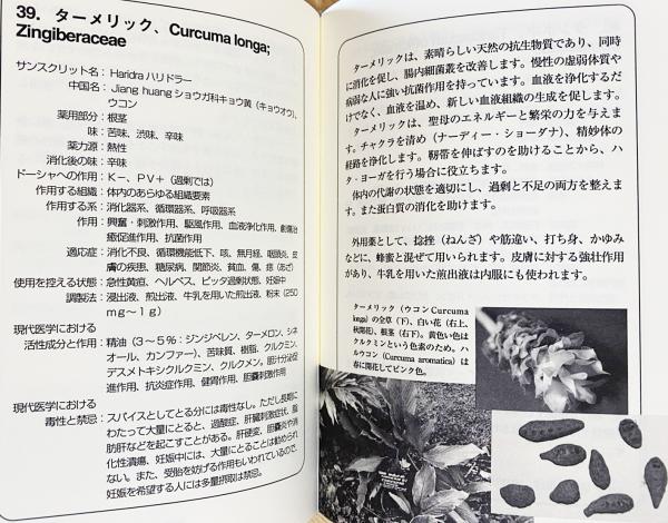 アーユルヴェーダのハーブ医学 : 東西融合の薬草治療薬(デイビッド