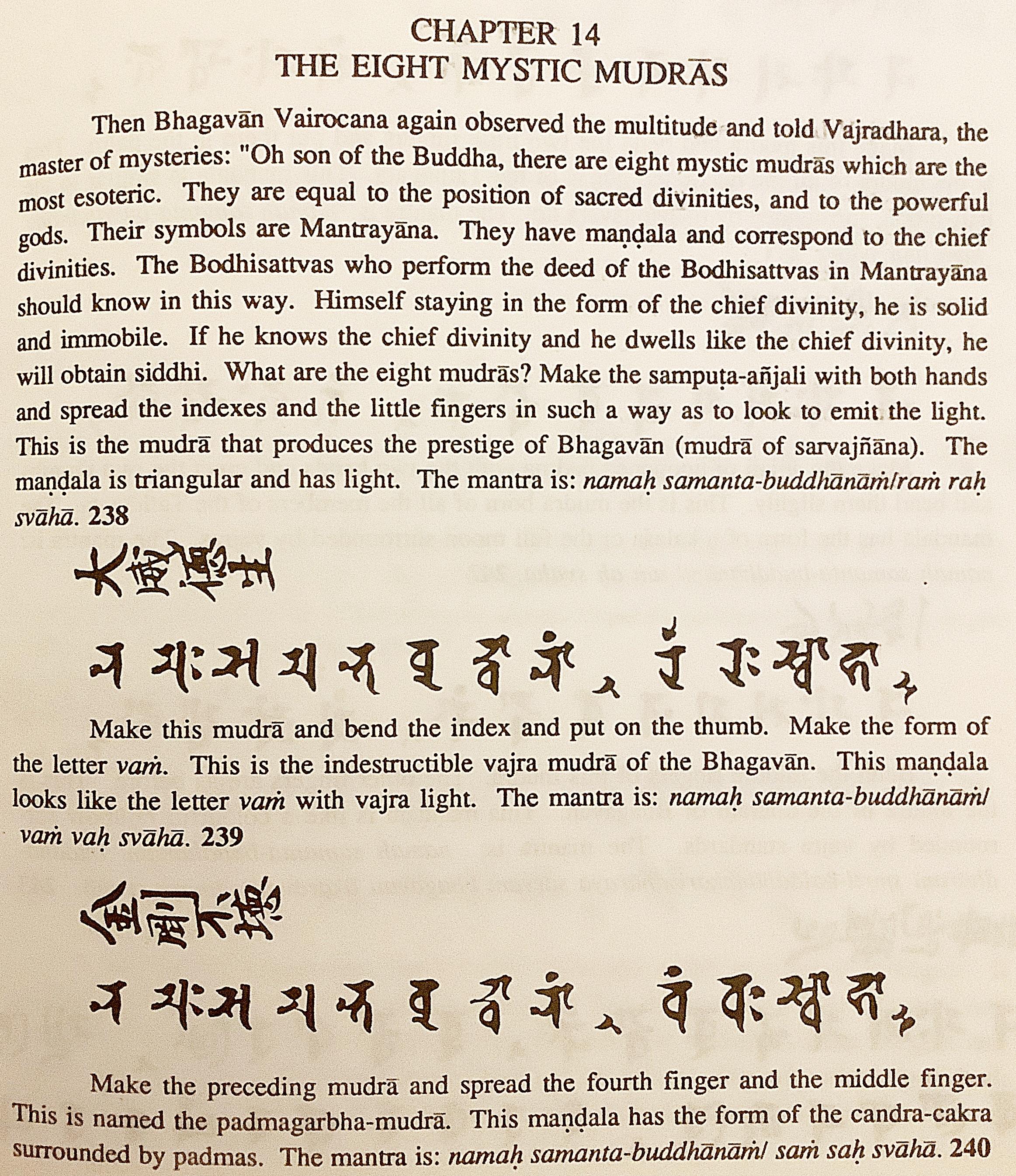 英語 仏教洋書 大毘盧遮那成仏神変加持経 大毘盧遮那経 大日経 Mahavairocana Sutra 山本智教 英訳 Translated Into English From Ta P I Lu Che Na Ch Eng Fo Shen Pien Chia Ch Ih Ching 大毘盧遮那成佛神變加持經 The Chinese Version Of Subhakarasiṁha 英語 仏教洋書 大毘盧遮那成仏神変加持経 大毘盧遮那経 大日経 Mahavairocana Sutra 山本智教 英訳 Translated Into English From Ta P I Lu Che Na Ch Eng Fo Shen Pien Chia Ch Ih Ching 大毘盧遮那成佛神變加持經 The Chinese Version Of Subhakarasiṁha
