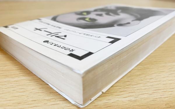 マリーナ(インゲボルグ・バッハマン 著 ; 神品芳夫, 神品友子 訳