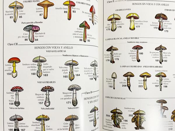 スペイン語洋書 バスク地方の菌類（きのこ）ガイド 全2巻揃