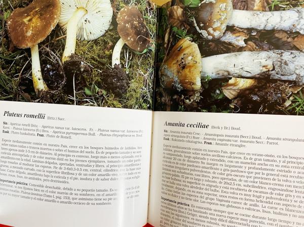 洋書　きのこ図鑑　コリンズ菌類ガイド　COLLINS FUNGI GUIDE 洋書 きのこ図鑑 コリンズ菌類ガイド COLLINS FUNGI GUIDE