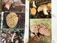 北米キノコ図鑑 英語版 Mushroom専門書 英語洋書 北アメリカのキノコ図鑑 【Mushrooms of North America】([by