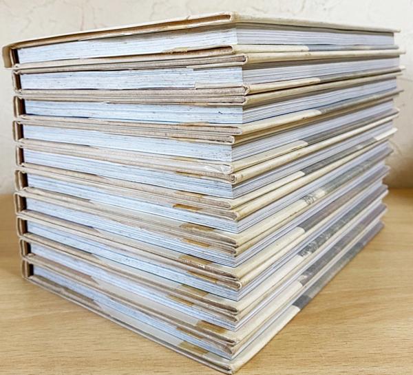 和風建築の意匠 全10巻揃(建築フォーラム企画・編集；中村昌生=監修