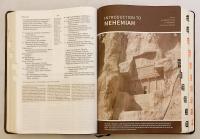 【英語 キリスト教洋書】 聖書研究 『CSB Study Bible : Christian Standard, Study Bible』 ●革装 サムインデックス付き