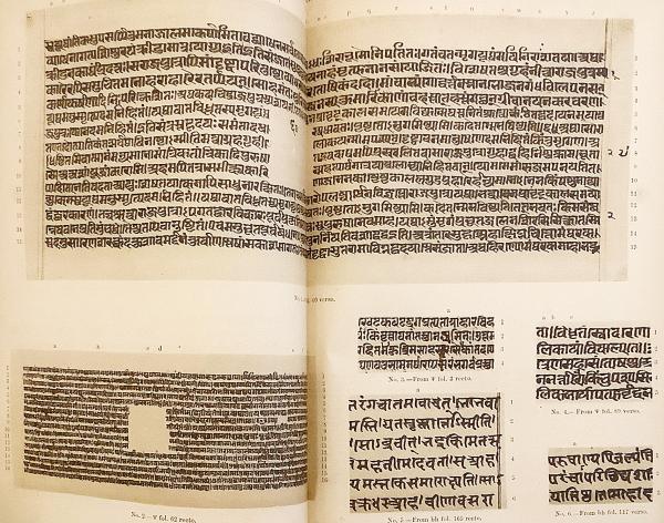 サンスクリット・英語洋書／限定1,000部】 パンチャタントラ