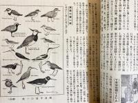 銃猟雜誌 大正13年7月号