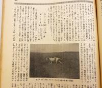 銃猟雜誌 昭和6年6月号