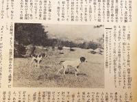 銃猟雜誌 昭和6年4月号
