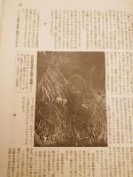 銃猟雜誌 昭和4年4月号