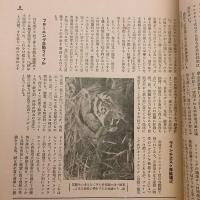 銃猟雜誌 昭和10年1月号