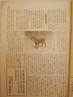 銃猟雜誌 昭和8年1月号