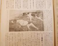 銃猟雜誌 昭和8年1月号