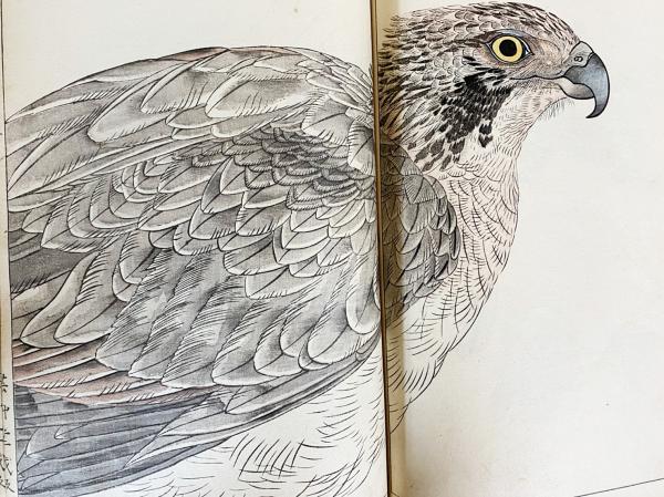 英章百鳥画譜 第1〜3巻 （全4冊の内,第4巻欠)(土田英章 画 ; 土田喜園