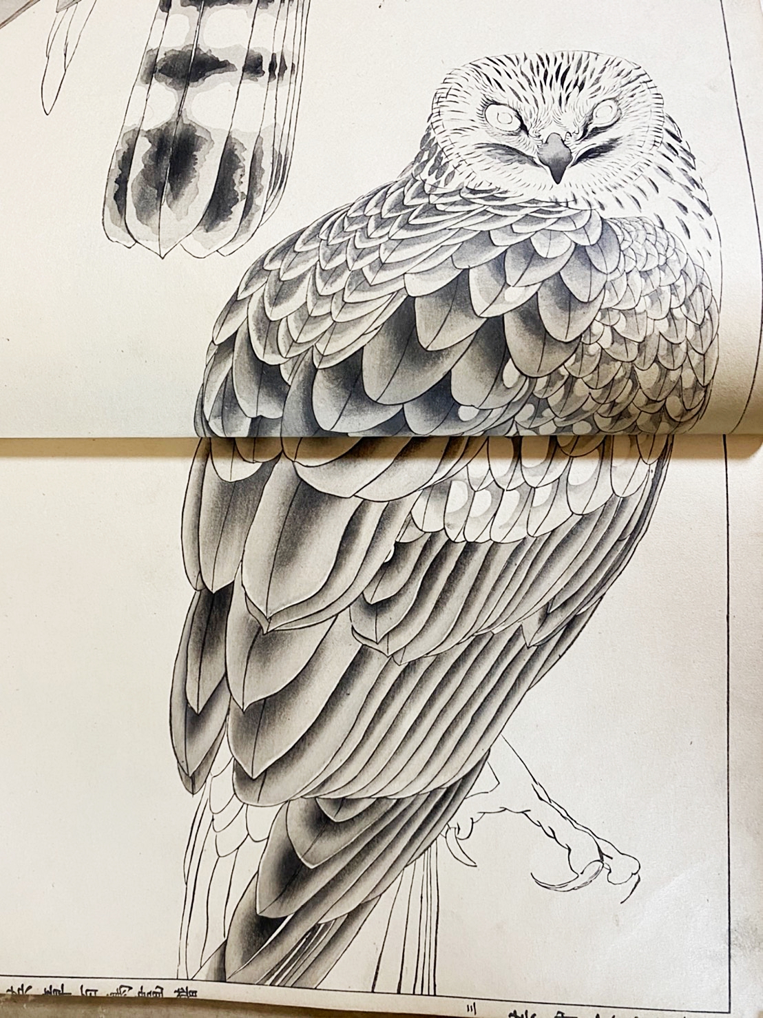 英章百鳥画譜 第1〜3巻 （全4冊の内,第4巻欠)(土田英章 画 ; 土田喜園