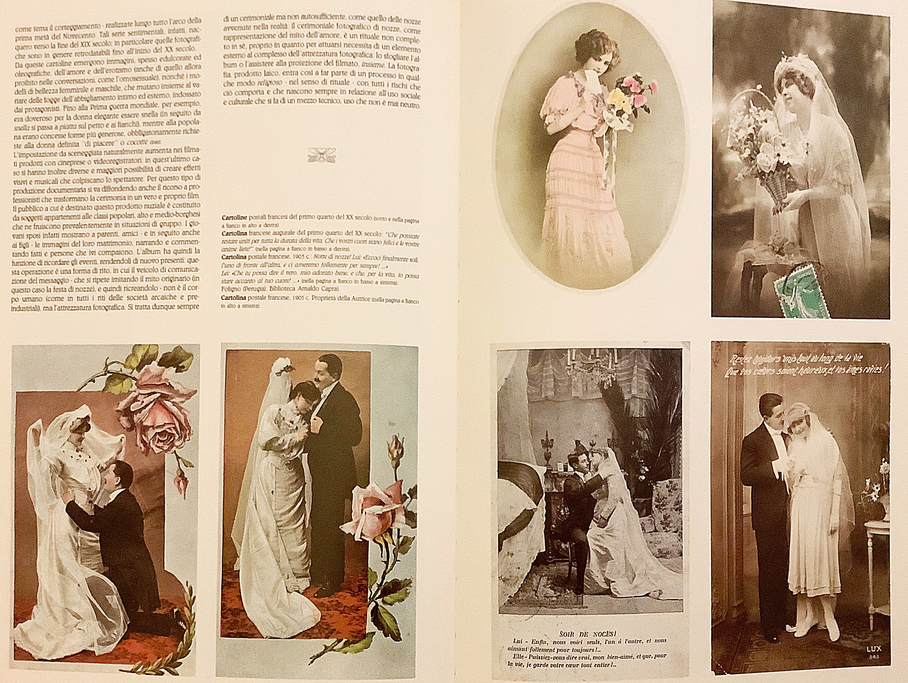 イタリア語洋書 結婚式の刺繡 Ricamo Di Nozze Maria Luciana Buseghin 古本 中古本 古書籍の通販は 日本の古本屋 日本の古本屋
