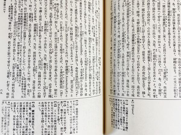 国訳一切経 印度撰述部 本縁部 全11巻10冊揃 / 古本、中古本、古書籍の