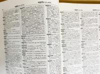 モニエル　サンスクリット辞典 洋書】 サンスクリット語-英語辞典 (モニエル梵英辞典)：同族の