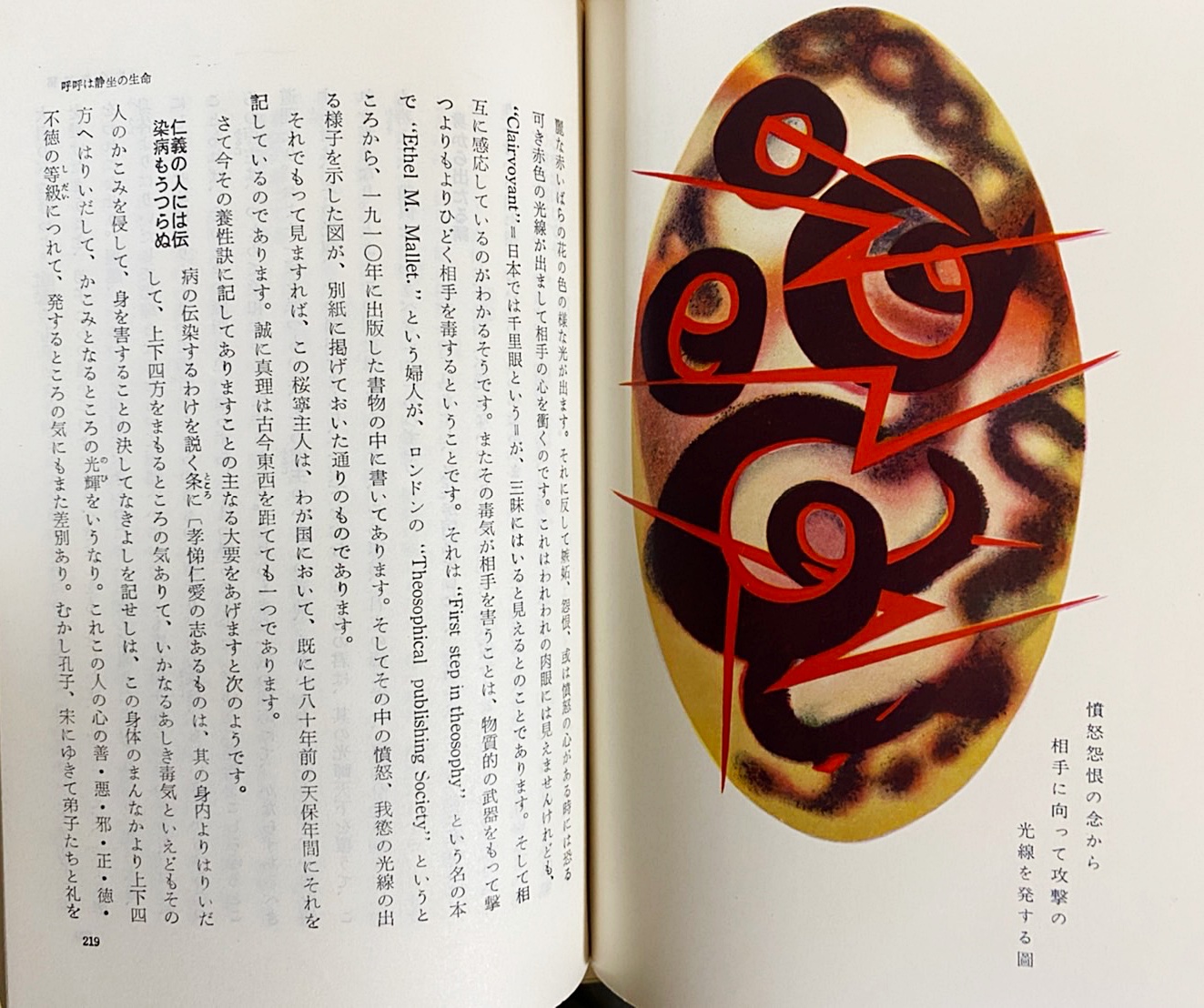 静坐物語 生きる力 小林参三郎著 静坐物語 生きる力(小林參三郎著 ; 三葉文庫編) / 古本、中古本、古