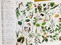 漢方健康料理 本巻全8巻揃(北京中医学会学術委員会, 雄渾社 編) / 古本