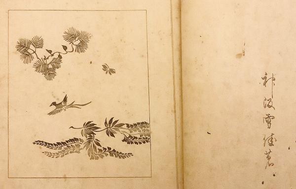 和装本 / 全2冊揃い】 しきし模様 1-2 神坂雪佳 画 明治34 ○木版刷