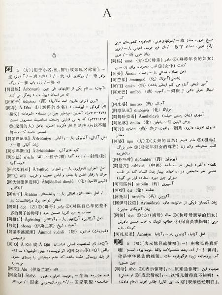 s 波斯語漢語詞典/ペルシア語漢語辞典 商務印書館 北京大学東方