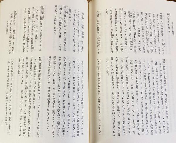 Amazon.co.jp: 原文対照現代語訳 道元禅師全集11 永平広録2