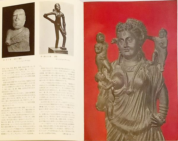 展覧会図録】 パキスタン古代文化展 = Avcient Pakistan culture