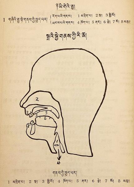 中古】 チベット語字典 草稿本 (1973年)