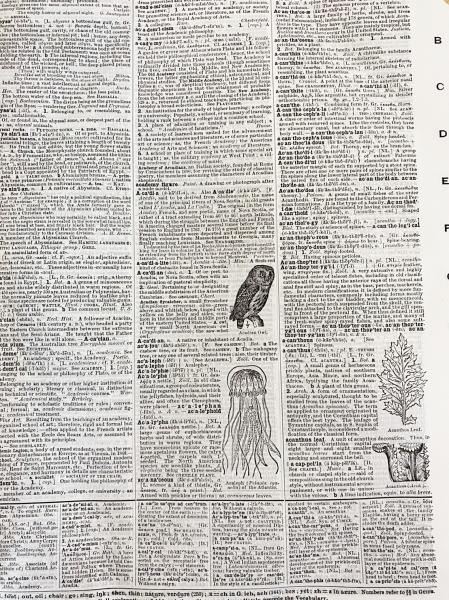 英語洋書 ウェブスター新国際英語辞典 【Webster's New