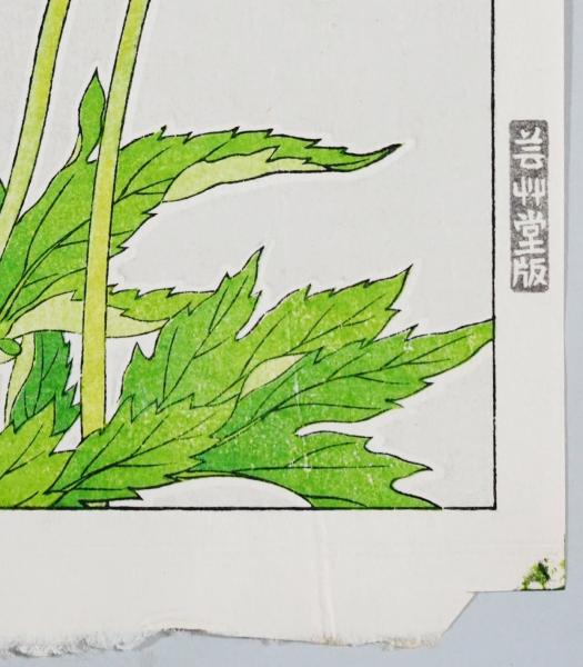 河原崎奨堂 木版画 『虞美人草』(河原崎奨堂) / 古本、中古本、古書籍