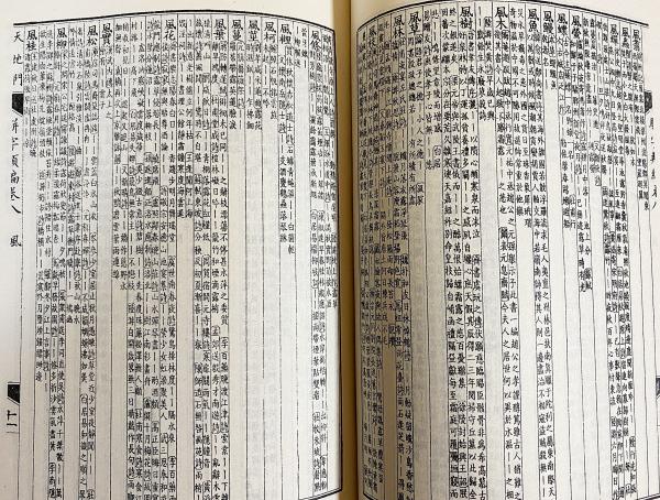 中文書 駢字類編 全13冊揃(全12冊・索引) / 古本、中古本、古書籍の  