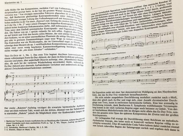 ドイツ語洋書 ベートーヴェン作品の解釈 全2巻揃 【Beethoven