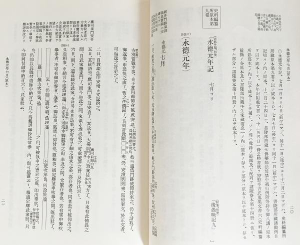 大日本古記録 後愚昧記3【康暦元年正月-永徳3年8月・附帯文書 上