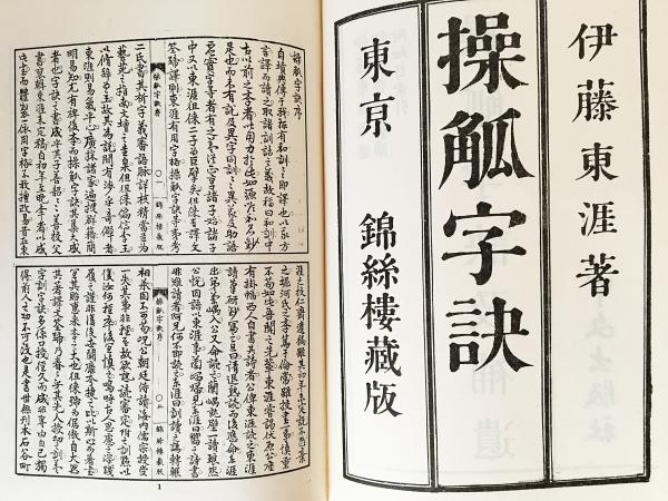 瞑鳥記―伊藤一彦歌集（反措定叢書） 伊藤一彦 著 - 副羊羹書店