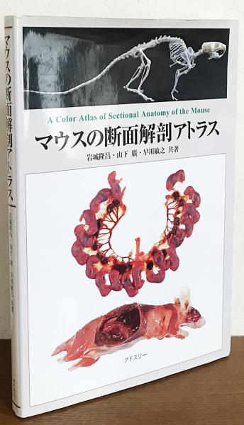 マウスの断面解剖アトラス | 岩城 隆昌 |本 | 通販 | Amazon