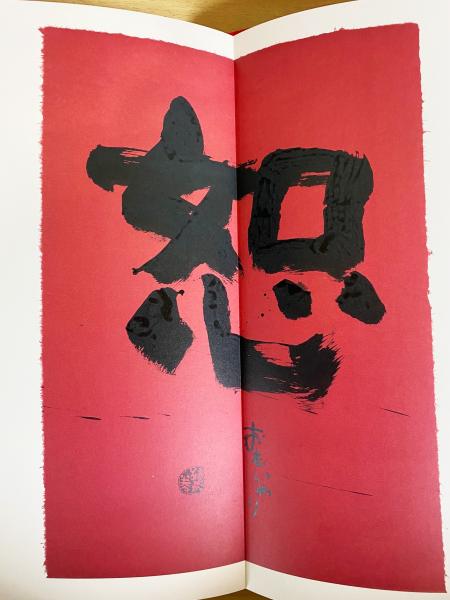 臍下丹田 : 緒形拳作品集(緒形拳 著；操上和美・能津喜代房=撮影 ...