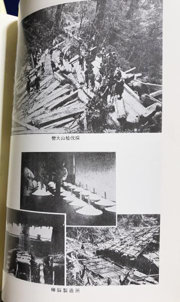 社史で見る日本経済史 植民地編　第４巻/ゆまに書房（単行本） 植民地台湾の日本女性生活史 全4巻揃【明治・大正・昭和上下