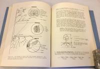 【英文洋書】An outline of forest hydrology『森林水文学の概要』　●ジョージア大学森林資源学