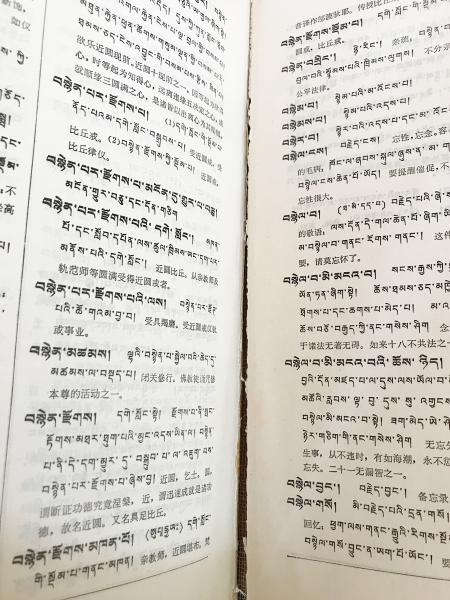 輝く高品質な 中文書 全3冊揃(張怡蓀 蔵漢大辞典【チベット語-中国語辞典】 辞書