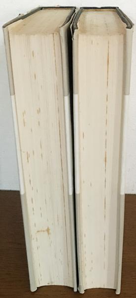 1894年 詩選集 ヴェレーナ・ソフィー アンティーク 洋書 ドイツ