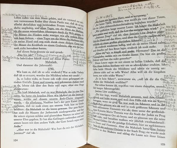 ドイツ語洋書 ヴィルヘルム・ラーベ全集 22冊セット(本巻全21冊・補巻1