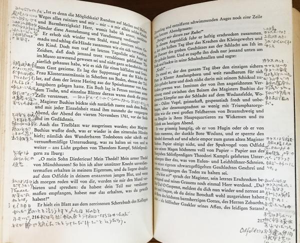 ドイツ語洋書 ヴィルヘルム・ラーベ全集 22冊セット(本巻全21冊・補巻1